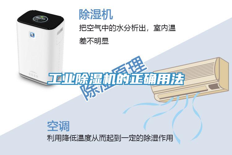工业猫咪成人官网的正确用法
