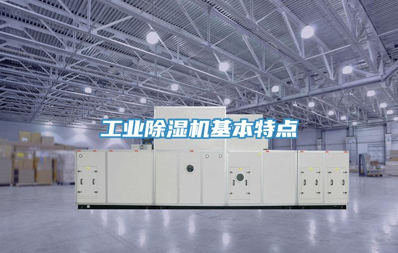 工业猫咪成人官网基本特点