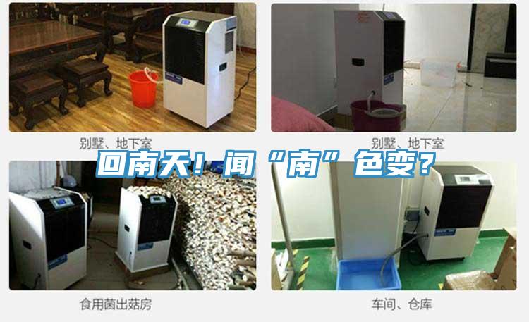 回南天！闻“南”色变？