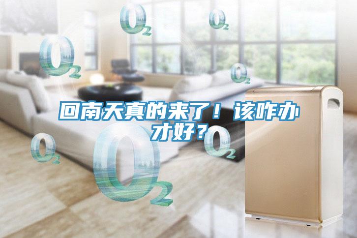 回南天真的来了！该咋办才好？