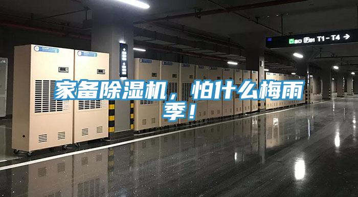 家备猫咪成人官网，怕什么梅雨季！