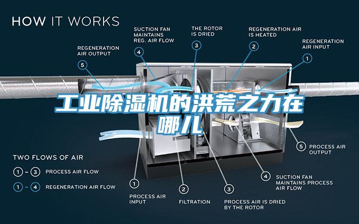 工业猫咪成人官网的洪荒之力在哪儿