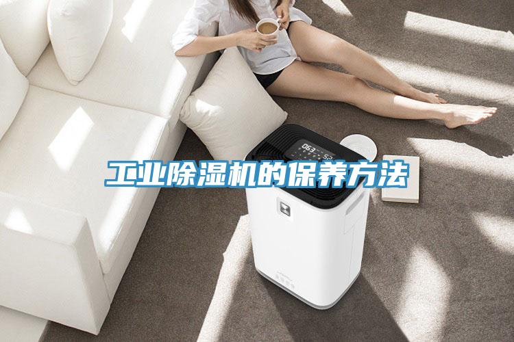 工业猫咪成人官网的保养方法