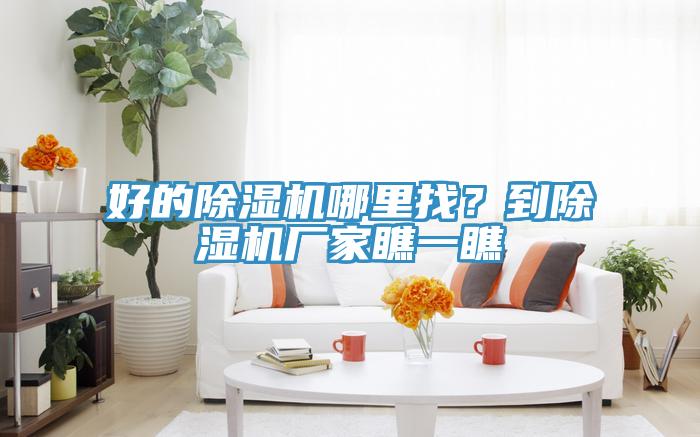 好的猫咪成人官网哪里找？到猫咪成人官网厂家瞧一瞧