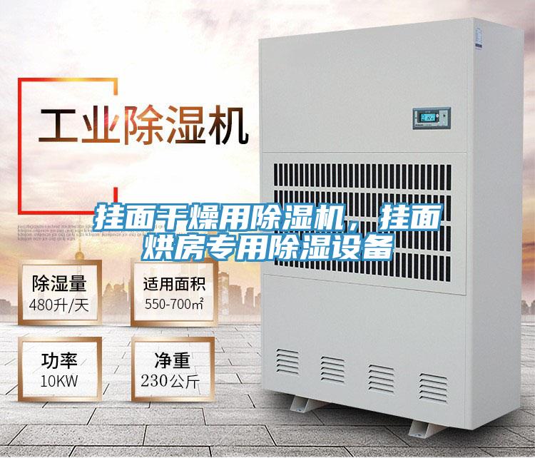 挂面干燥用猫咪成人官网，挂面烘房专用除湿设备