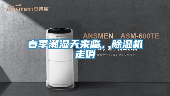 春季潮湿天来临，猫咪成人官网走俏