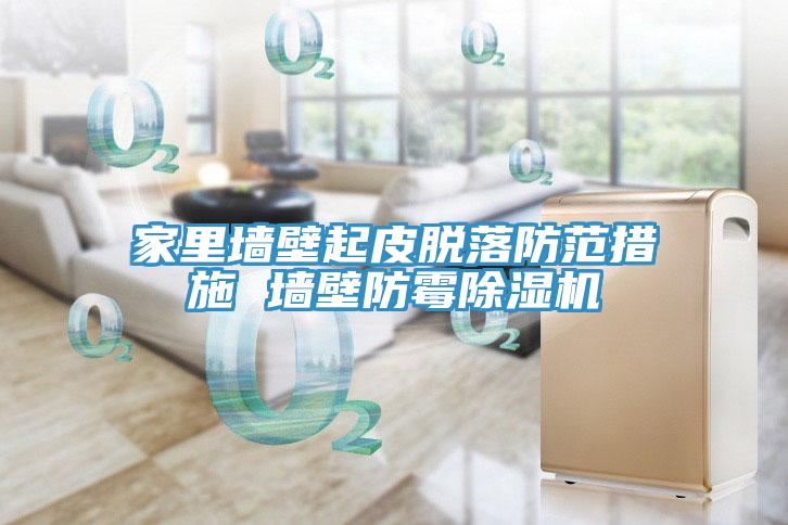 家里墙壁起皮脱落防范措施 墙壁防霉猫咪成人官网