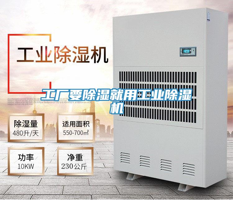 工厂要除湿就用工业猫咪成人官网