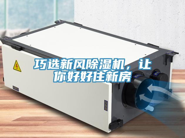 巧选新风猫咪成人官网，让你好好住新房