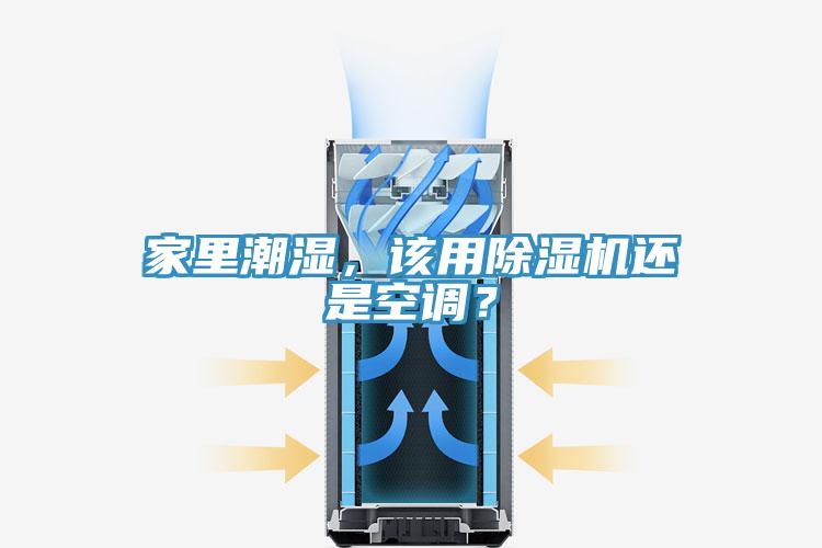 家里潮湿，该用猫咪成人官网还是空调？