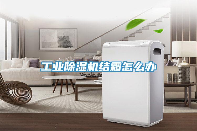 工业猫咪成人官网结霜怎么办