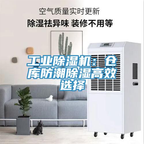 工业猫咪成人官网：仓库防潮除湿高效选择