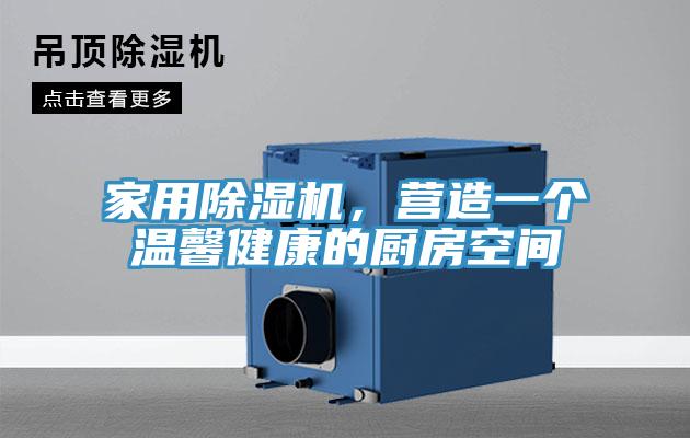 家用猫咪成人官网，营造一个温馨健康的厨房空间