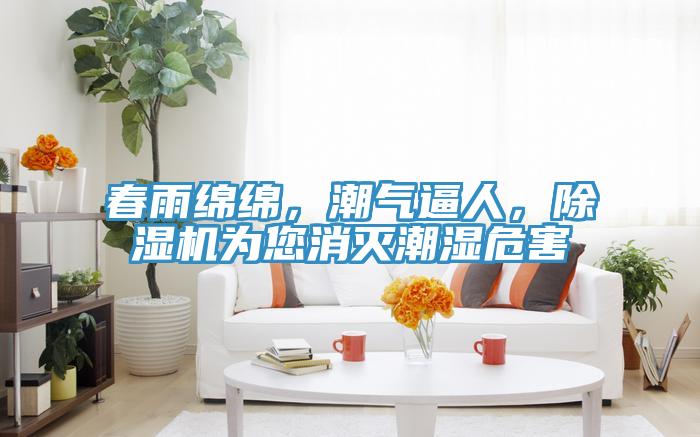 春雨绵绵，潮气逼人，猫咪成人官网为您消灭潮湿危害