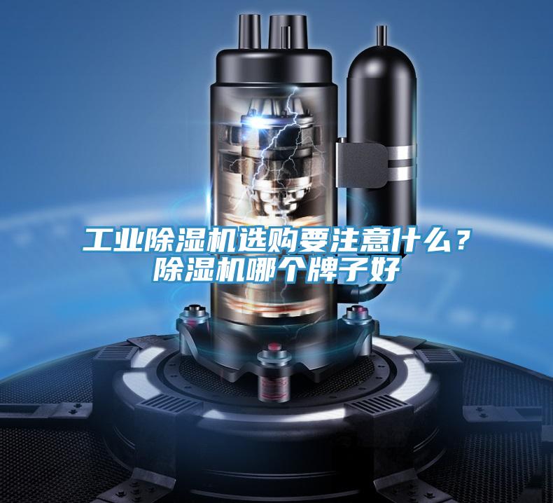 工业猫咪成人官网选购要注意什么？猫咪成人官网哪个牌子好