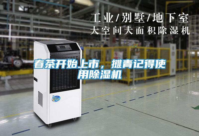 春茶开始上市，摊青记得使用猫咪成人官网
