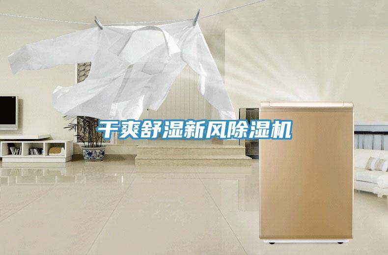 干爽舒湿新风猫咪成人官网