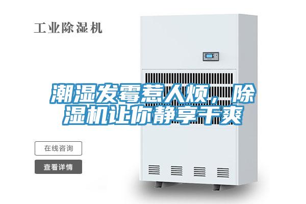 潮湿发霉惹人烦，猫咪成人官网让你静享干爽