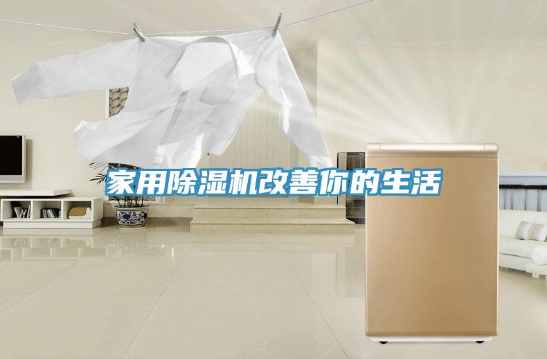 家用猫咪成人官网改善你的生活