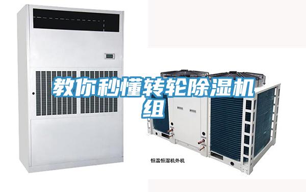 教你秒懂转轮猫咪成人官网组