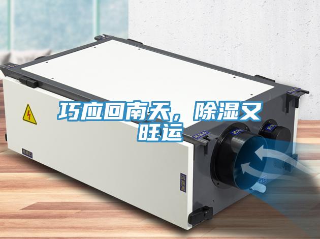 巧应回南天，除湿又旺运