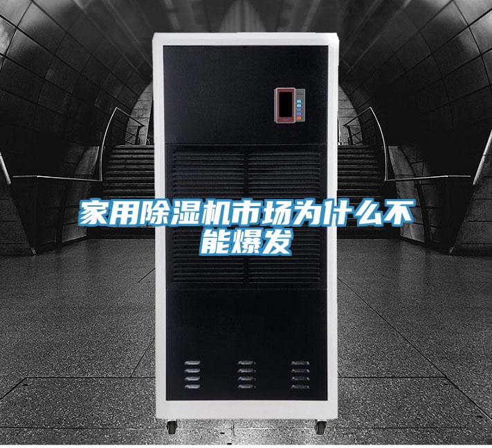 家用猫咪成人官网市场为什么不能爆发