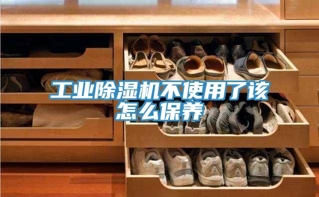 工业猫咪成人官网不使用了该怎么保养