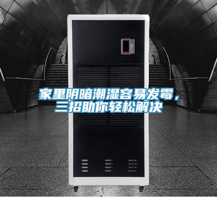家里阴暗潮湿容易发霉，三招助你轻松解决