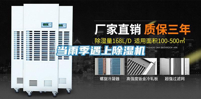 当雨季遇上猫咪成人官网