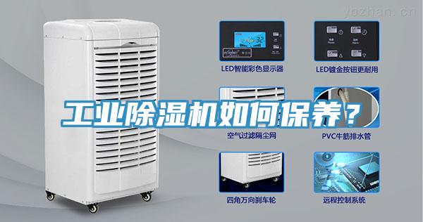 工业猫咪成人官网如何保养？
