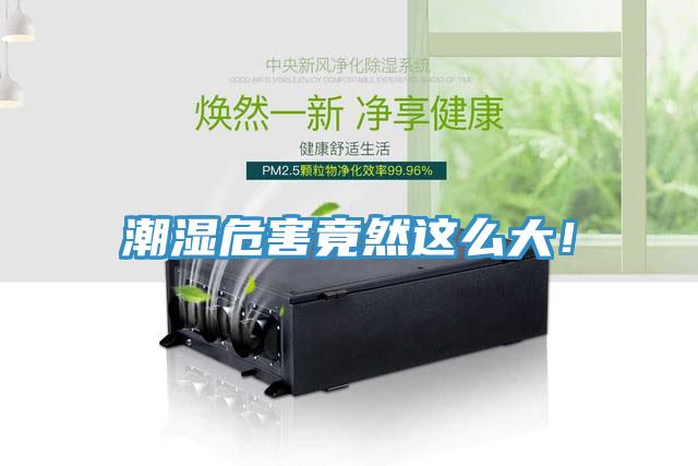 潮湿危害竟然这么大！