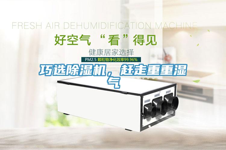巧选猫咪成人官网，赶走重重湿气