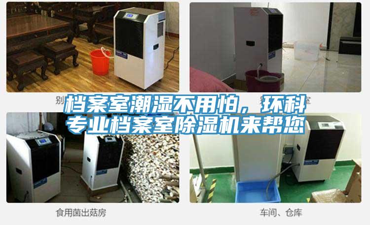 档案室潮湿不用怕，环科专业档案室猫咪成人官网来帮您