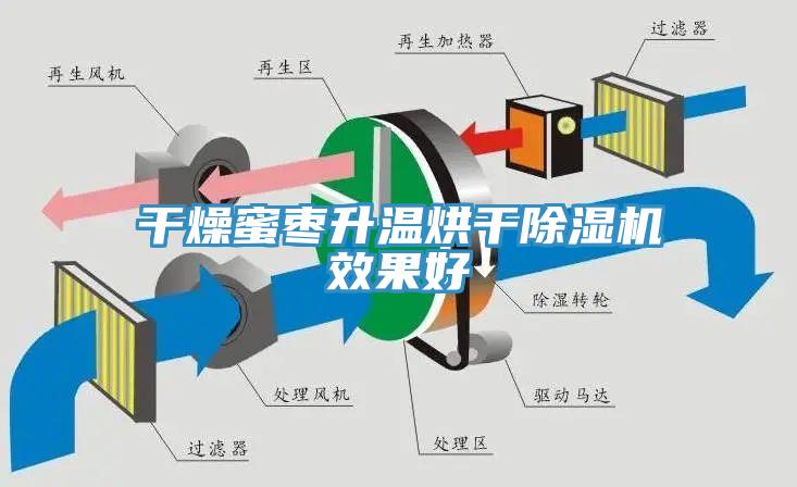 干燥蜜枣升温烘干猫咪成人官网效果好