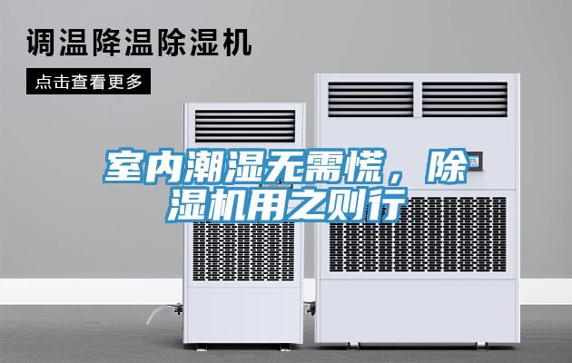 室内潮湿无需慌，猫咪成人官网用之则行