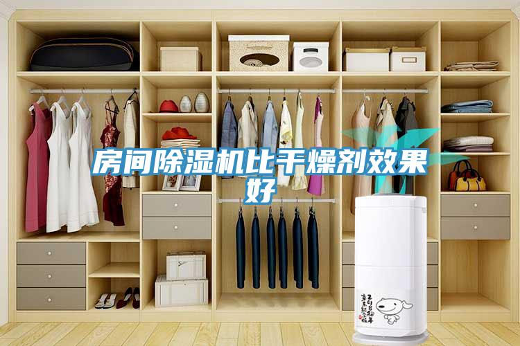 房间猫咪成人官网比干燥剂效果好