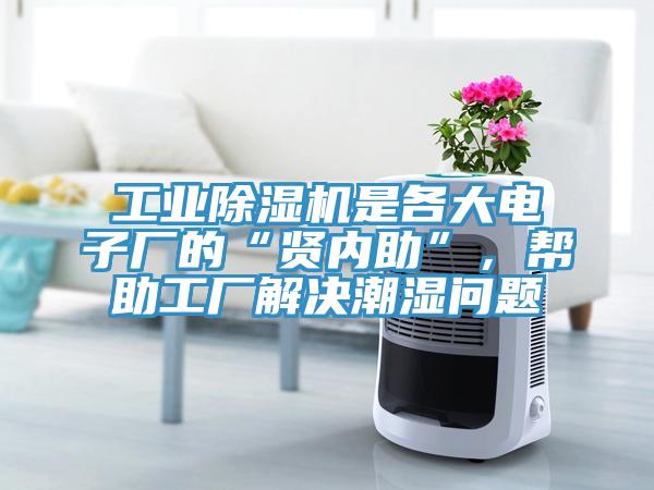 工业猫咪成人官网是各大电子厂的“贤内助”，帮助工厂解决潮湿问题