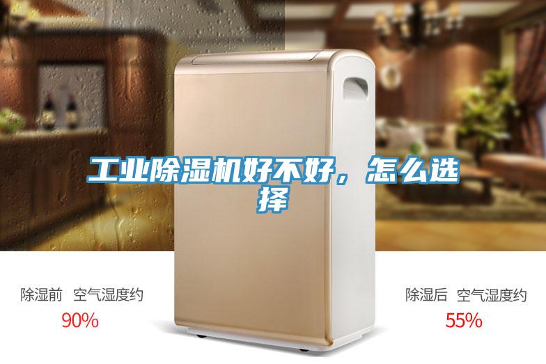 工业猫咪成人官网好不好，怎么选择
