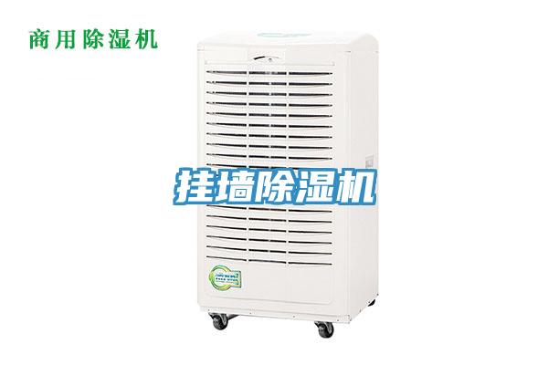 挂墙猫咪成人官网