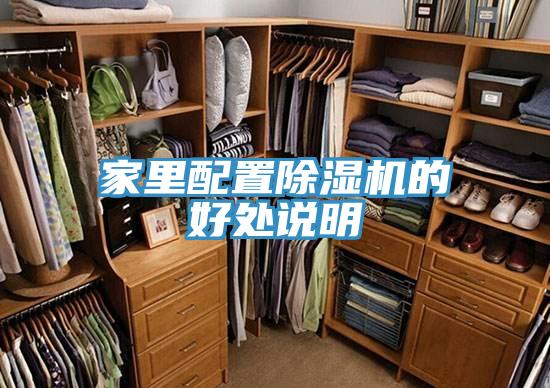 家里配置猫咪成人官网的好处说明