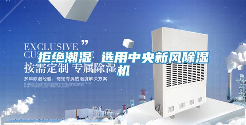 拒绝潮湿 选用中央新风猫咪成人官网