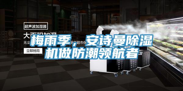 梅雨季，猫咪成人在线视频猫咪成人官网做防潮领航者