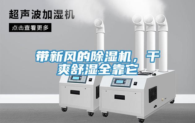 带新风的猫咪成人官网，干爽舒湿全靠它