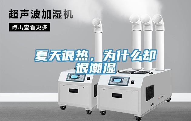 夏天很热，为什么却很潮湿