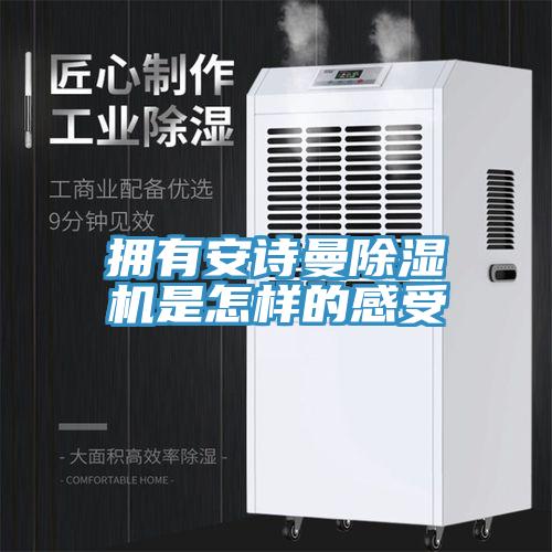 拥有猫咪成人在线视频猫咪成人官网是怎样的感受