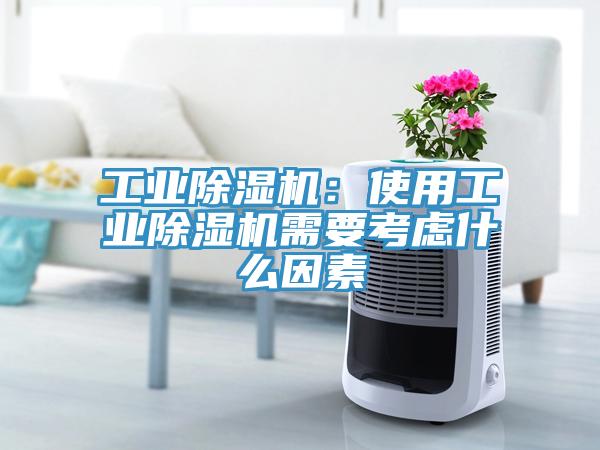 工业猫咪成人官网：使用工业猫咪成人官网需要考虑什么因素