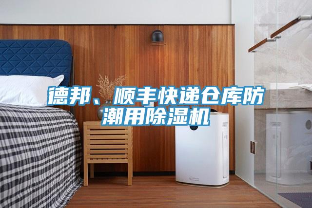 德邦、顺丰快递仓库防潮用猫咪成人官网
