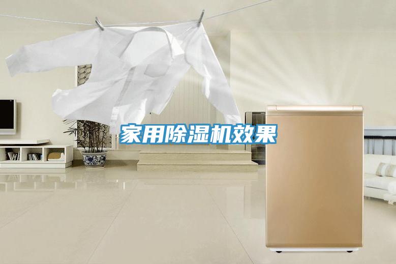 家用猫咪成人官网效果