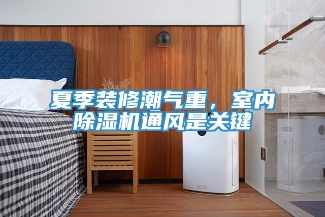 夏季装修潮气重，室内猫咪成人官网通风是关键