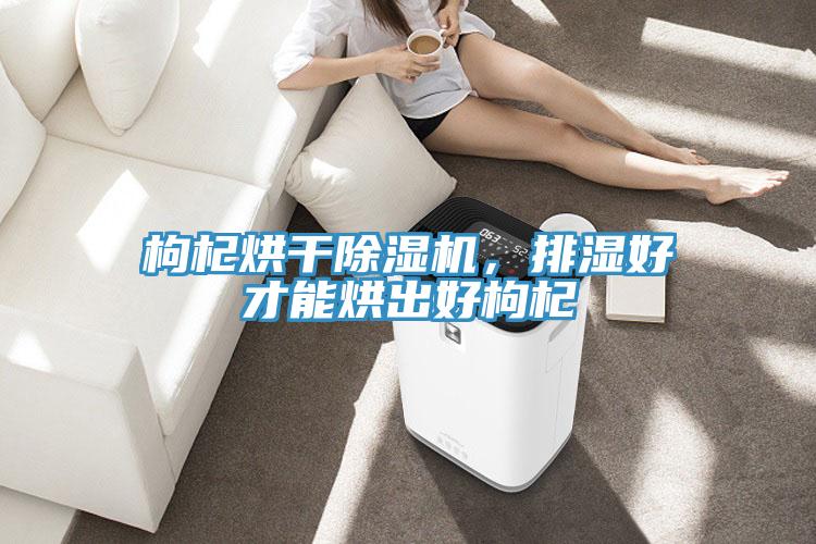 枸杞烘干猫咪成人官网，排湿好才能烘出好枸杞